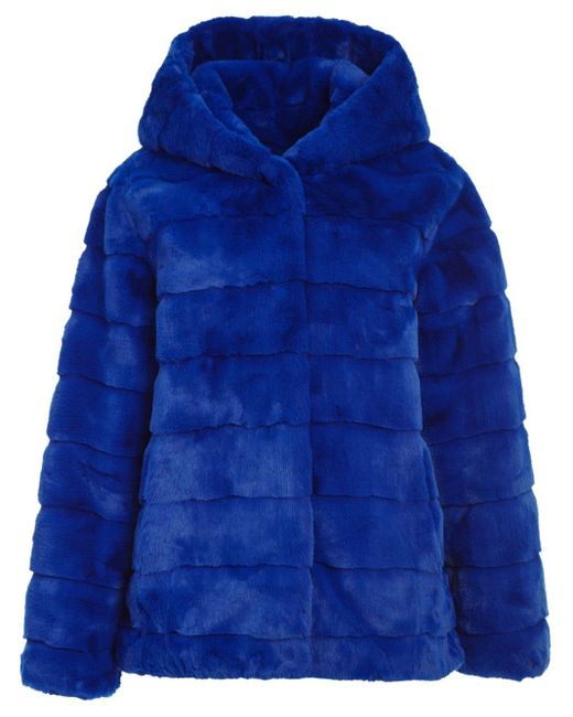 Apparis Blue Goldie Hooded Jacket