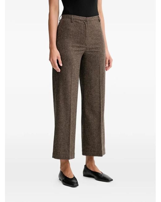 Sessun Cropped Broek in het Brown