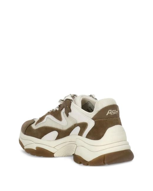 Ash White Paneled Sneakers