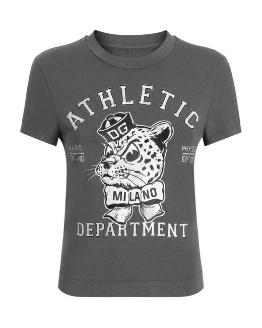 Dolce & Gabbana Gray T-Shirt