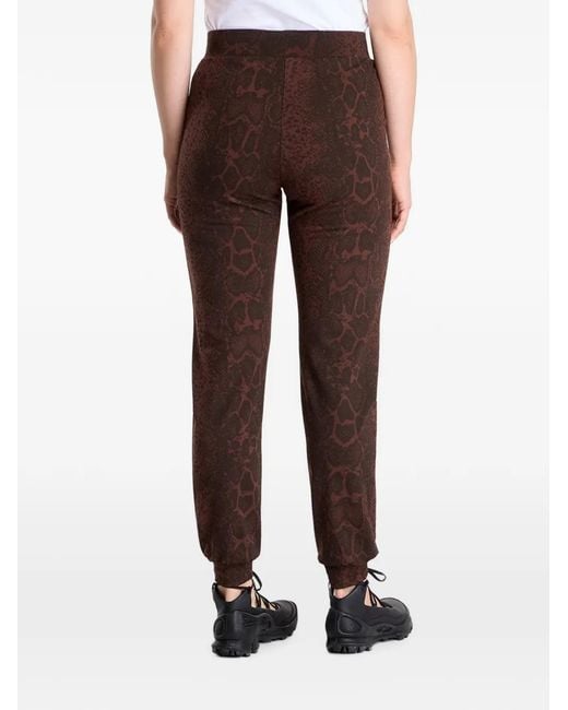 EA7 Brown Snakeskin-Print Track Pants