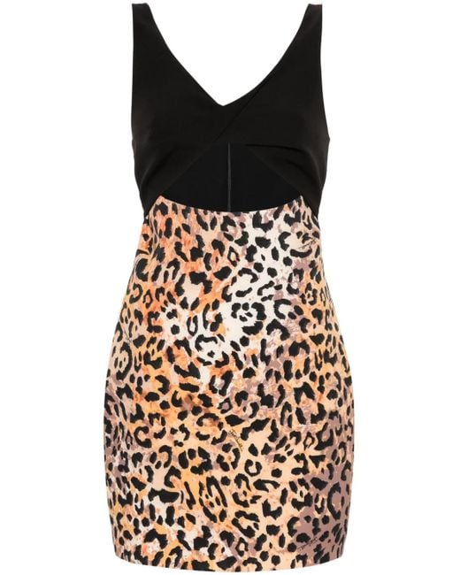 Just Cavalli Black Cady Leopard-Print Mini Dress