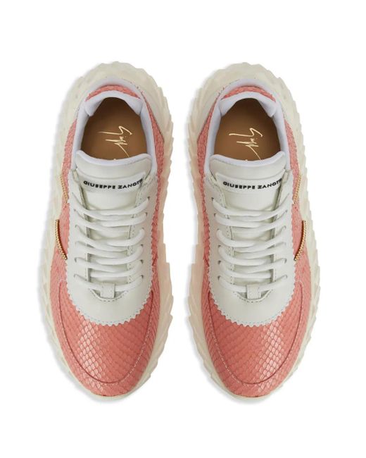 Giuseppe Zanotti Pink Trainers