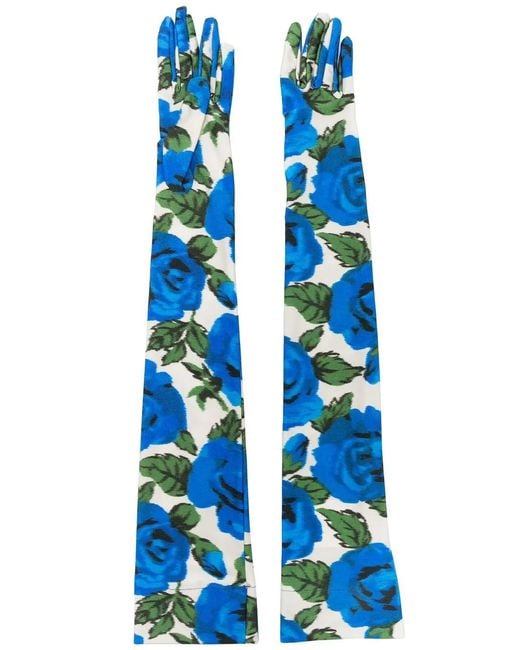 Philosophy Di Lorenzo Serafini Blue Floral-Print Long-Length Gloves