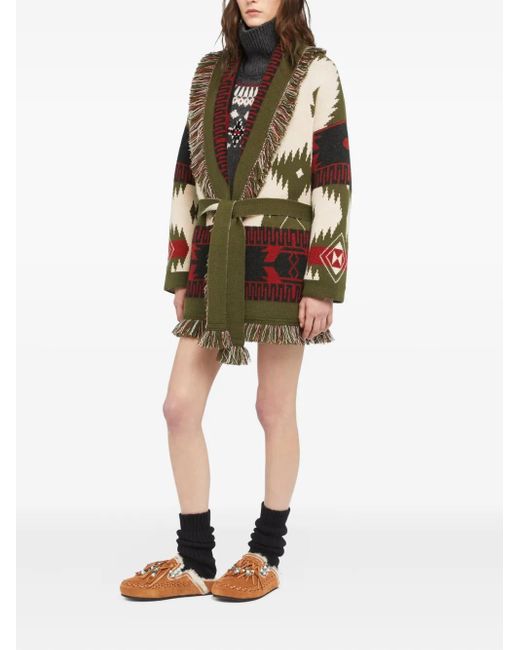 Alanui Brown Sweaters