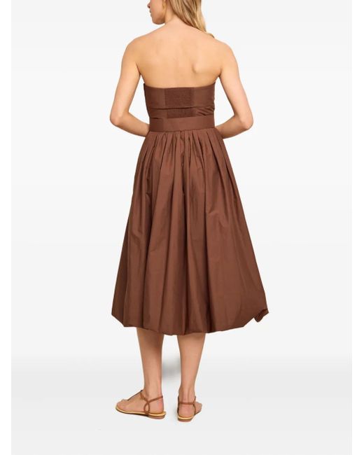 Cara Cara Brown Belted Strapless Midi Day Dress