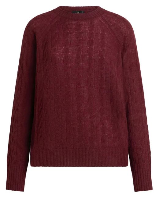 Pull En Maille Torsadée Etro en coloris Red