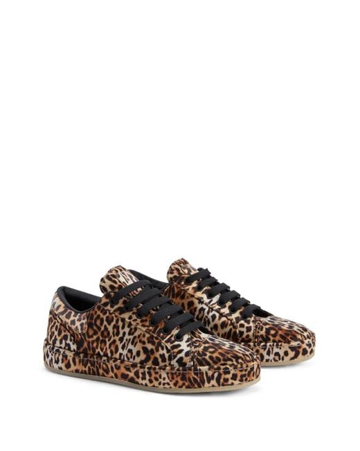 Giuseppe Zanotti Brown Gz-City