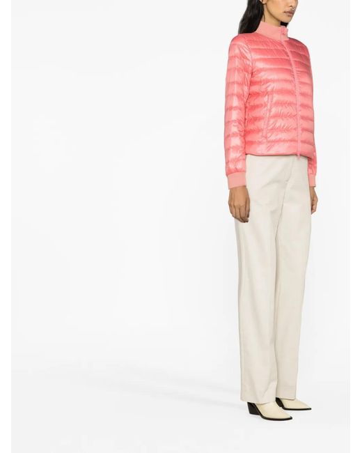 Herno Pink Globe Padded Bomber Jacket
