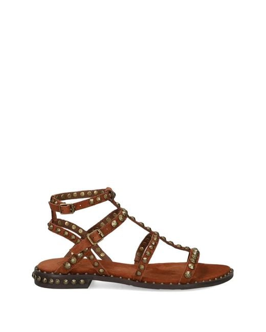 Ash Brown Precious Stud-Embellished Sandals