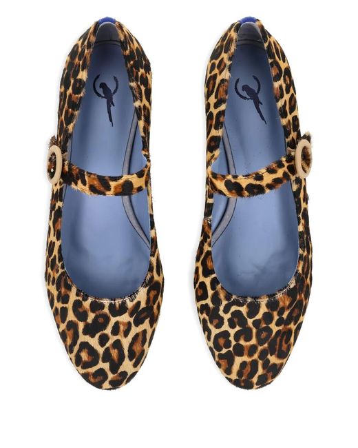 Bailarinas con estampado de leopardo Bird&Co de color Brown
