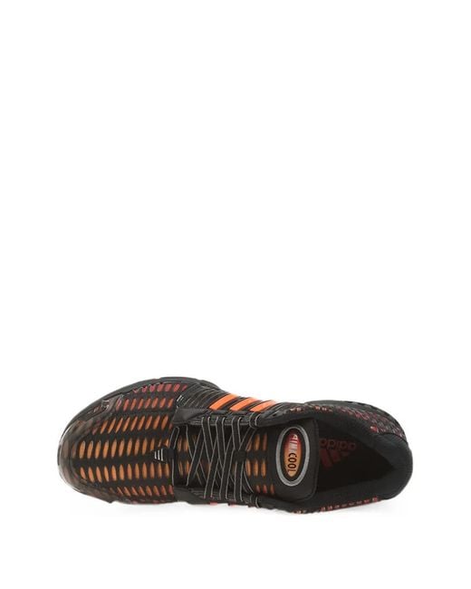 Adidas Brown Climacool 1 Sneakers for men