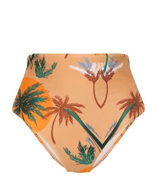 Slip bikini con stampa Palm Tree di Raquel Diniz in Natural