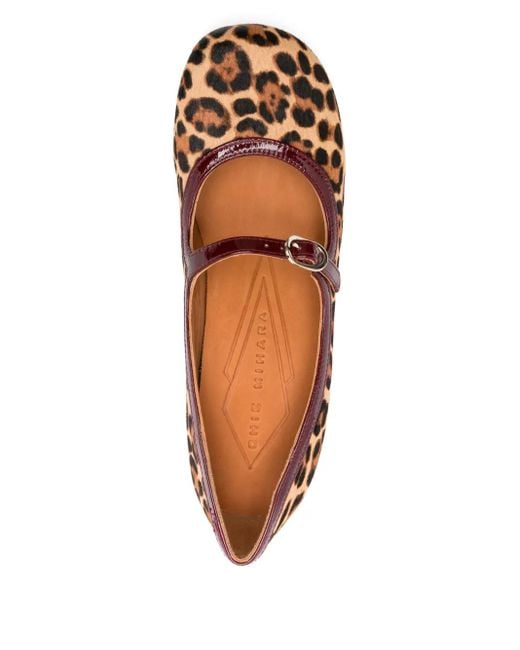 Chie Mihara Brown Shoes