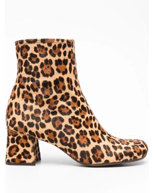 Botines Muki con tacón grueso de 60 mm y estampado de leopardo Chie Mihara de color Brown