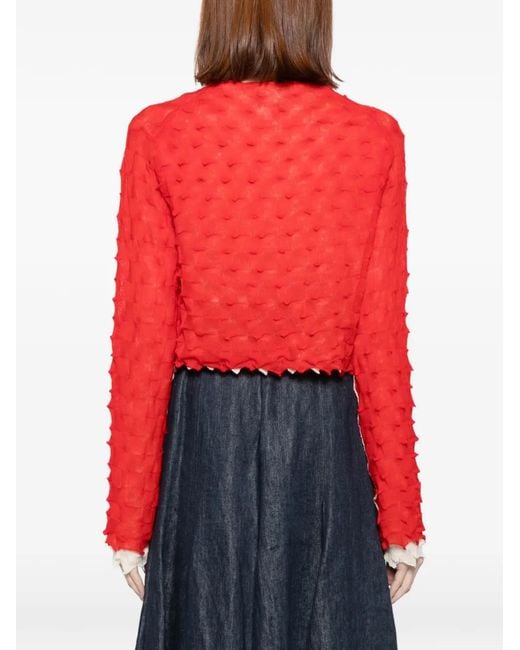 YANYAN KNITS Red Borlor Cardigan