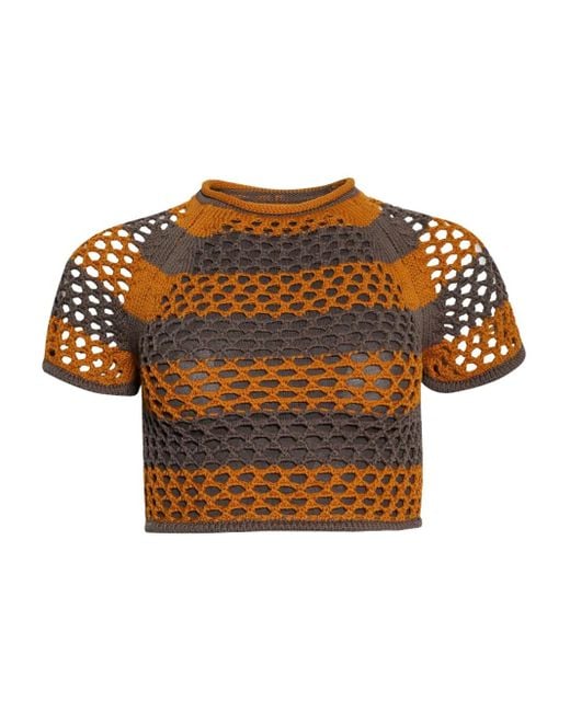 DIOTIMA Brown Rae Crocheted Short-Sleeve Top