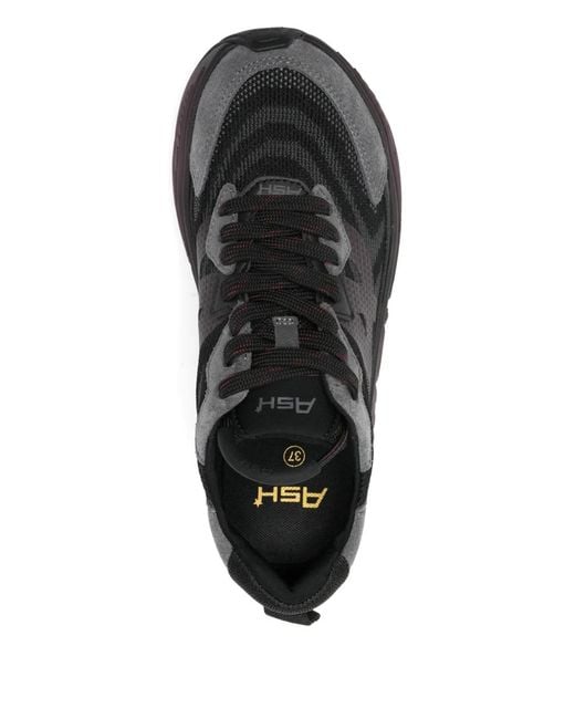 Ash Black Eagle Panelled Sneakers