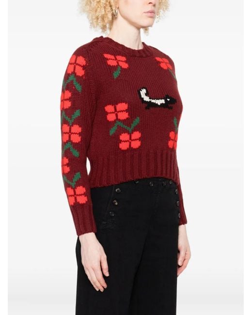 Bode Red Sweater