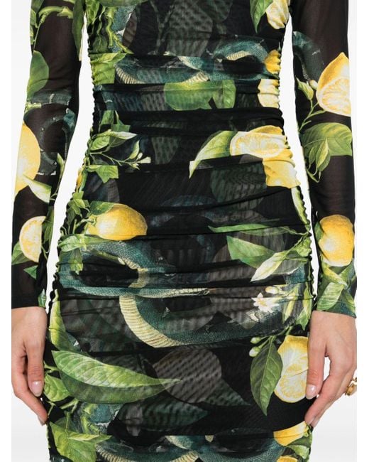 Roberto Cavalli Green Lemon-print Ruched Midi Dress
