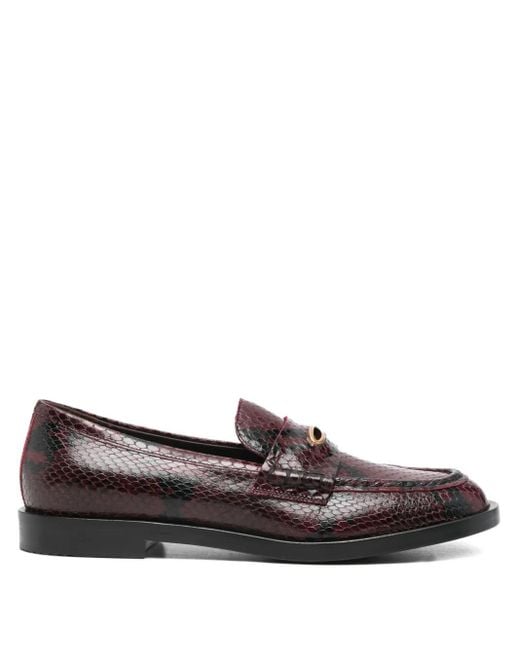 Roberto Festa Brown Siria Loafers