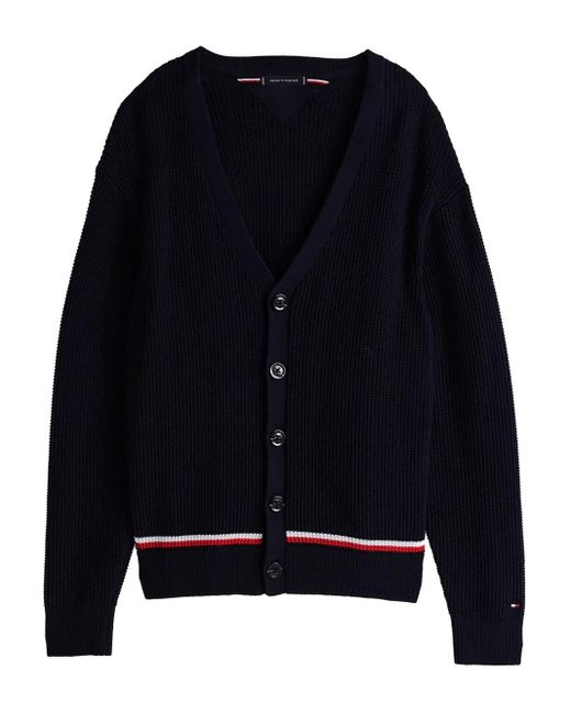 Tommy Hilfiger Blue Structure Global Stripe Cardigan for men