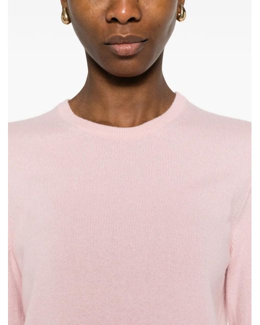 Bompard Pink Classic Round Neck Sweater