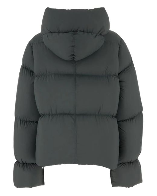 Bacon Gray Hooded Puffer Jacket