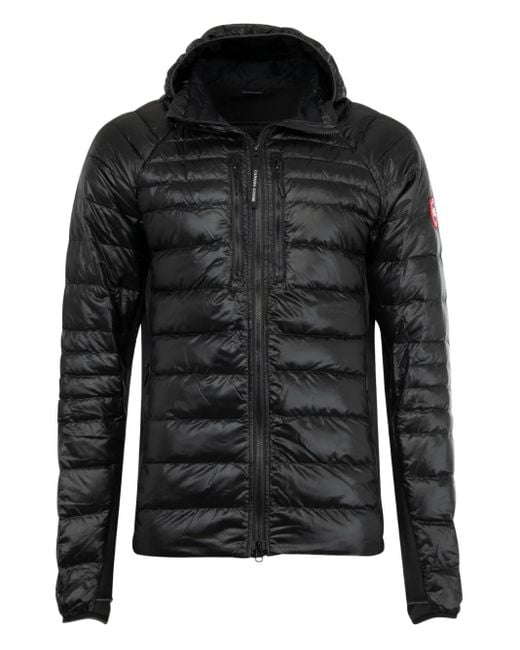 Veste Hybridge Lite À Capuche Canada Goose pour homme en coloris Black