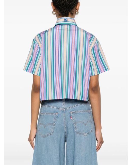 Etro Blue Striped Shirt