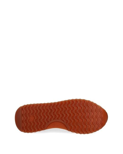 Gant White Bevinda Sneakers