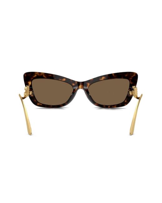 Dolce & Gabbana Brown Crystal Cat-eye Sunglasses