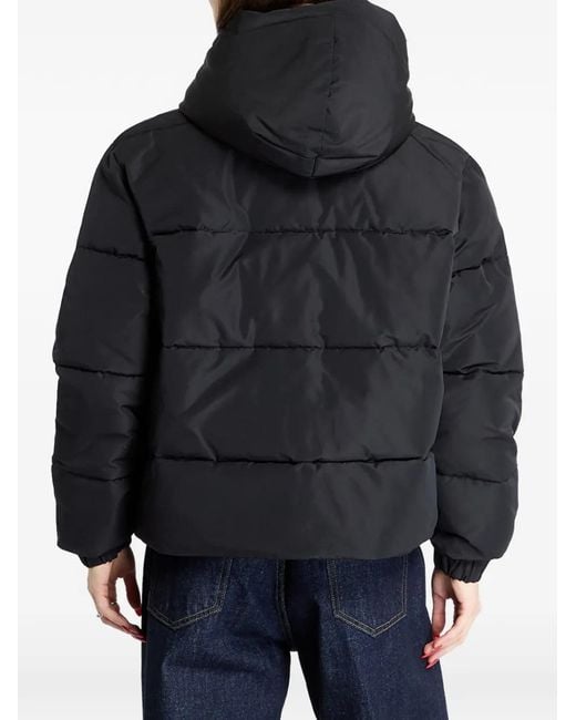 EA7 Black Padded Hooded Jacket