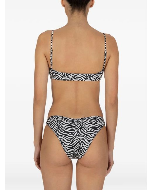 Paramidonna Gray Chica Zebra Print Two Piece Swimsuit