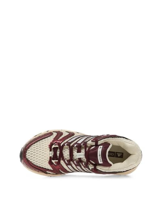 Adidas Brown Adistar Control 5 Mesh Sneakers