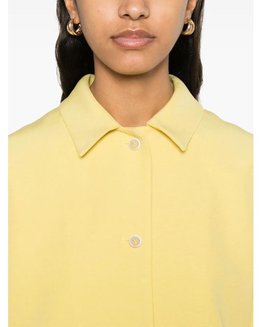 Fabiana Filippi Yellow Jackets