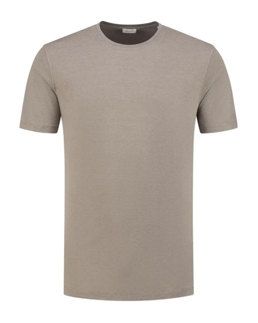 Doriani T-Shirt aus Jersey in Gray für Herren