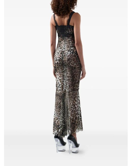 Gcds Brown Lace Leopard Dress
