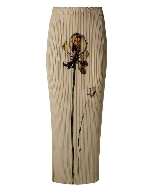wingsurfboard 7'9 フィンシュテール 4fin 【公式通販】