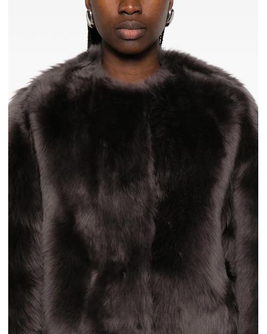 Tagliatore Black Long-Sleeve Shearling Jacket