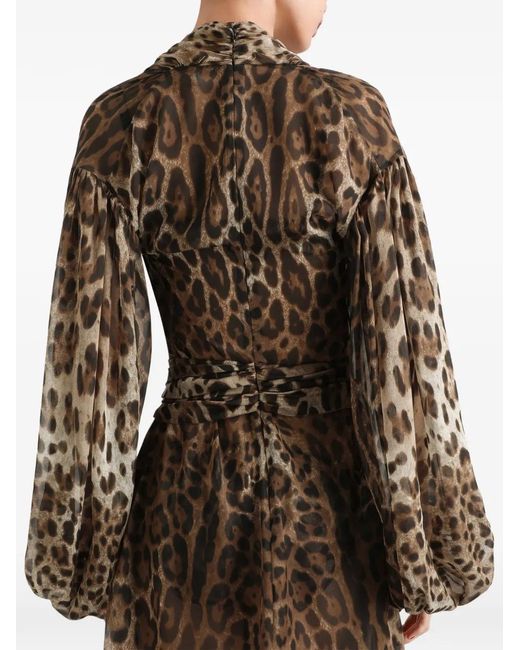 Dolce & Gabbana Brown Leo-Print Chiffon Dress