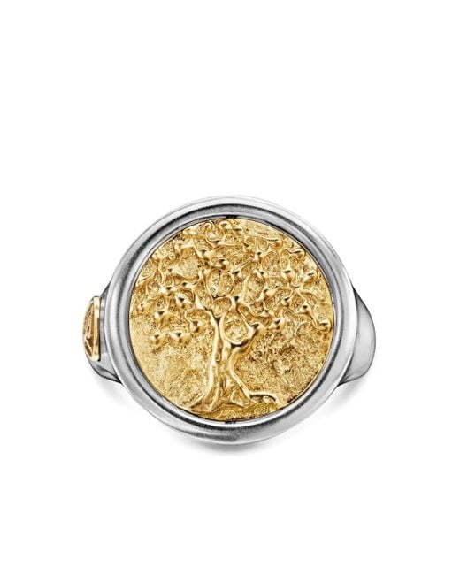 David Yurman Metallic 18Kt And Sterling Life And Death Duality Signet Ring (20Mm) for men