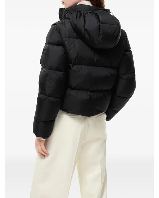 Burberry Black Check-Detail Puffer Jacket