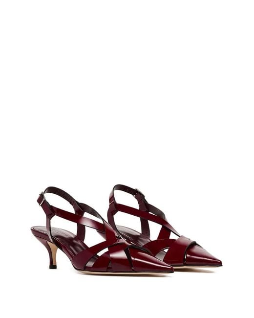 Scarosso Brown Pointed Slingback Pumps