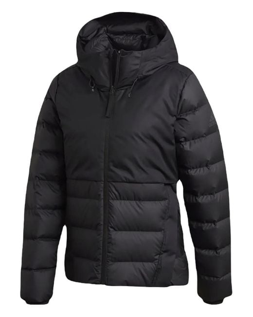 Adidas Blue Hooded Jacket