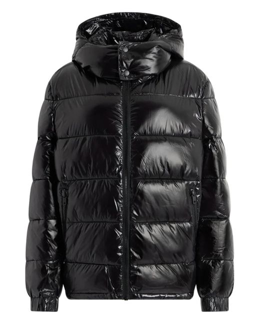 Bally Black Hood Quilted Puffer Jacket for men