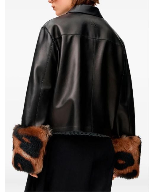 Loewe ファートリム レザージャケット Black
