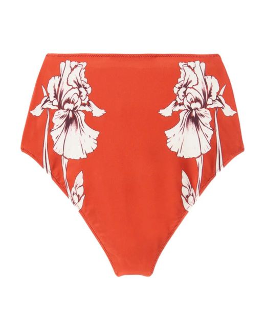 Bragas de bikini con estampado floral LaDoubleJ de color Red