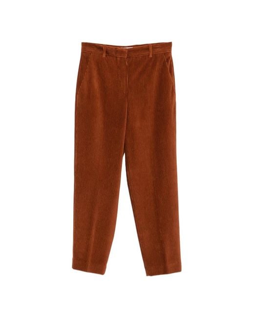 Circolo 1901 Brown Corduroy-Effect Tapered Trousers