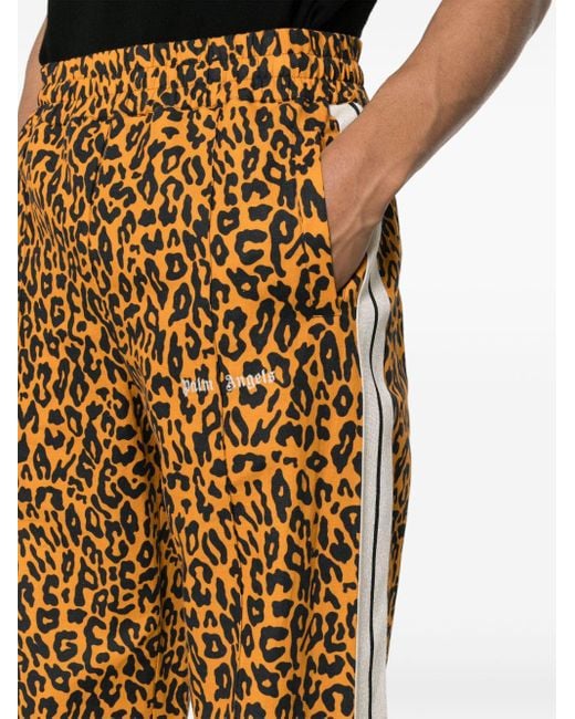 Palm Angels Orange Cheetah-print Track Pants for men